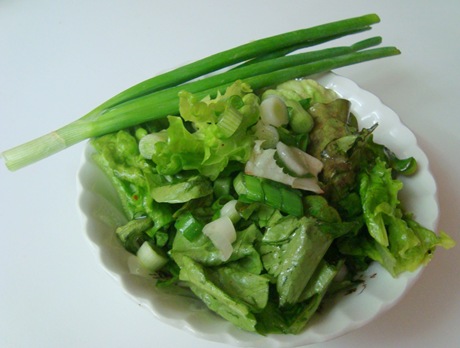 Killed lettuce and onions Killed lettuce and onions